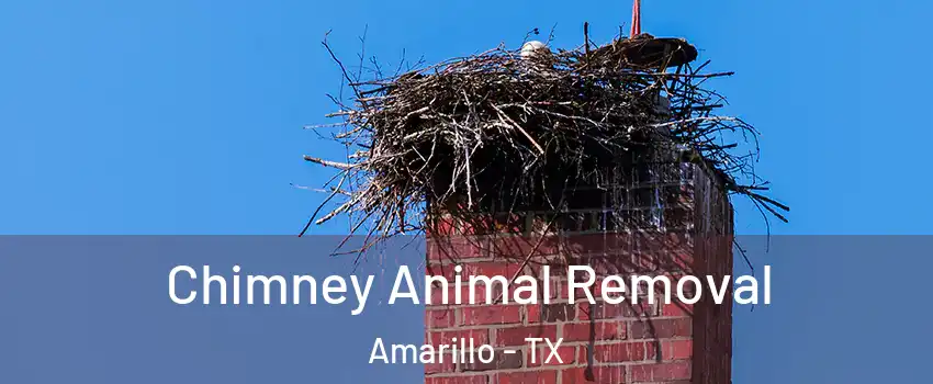  Chimney Animal Removal Amarillo - TX