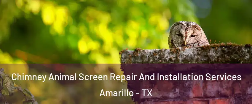  Chimney Animal Screen Repair And Installation Services Amarillo - TX