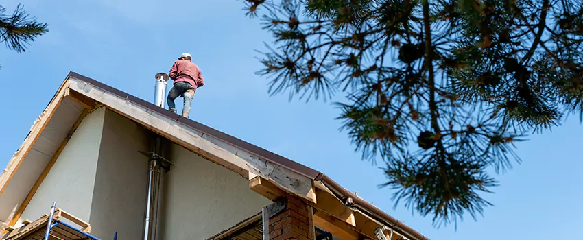 Birds Removal Contractors from Chimney in Amarillo, TX
