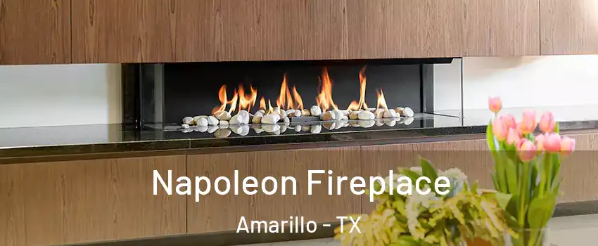  Napoleon Fireplace Amarillo - TX
